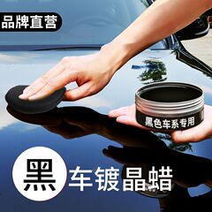 車用ワックス ブラックカーワックス 汚れ除去 メンテナンス 光沢出し クリスタルコーティング ナノワックス 防水 傷防止 修復 ソリッドワックス