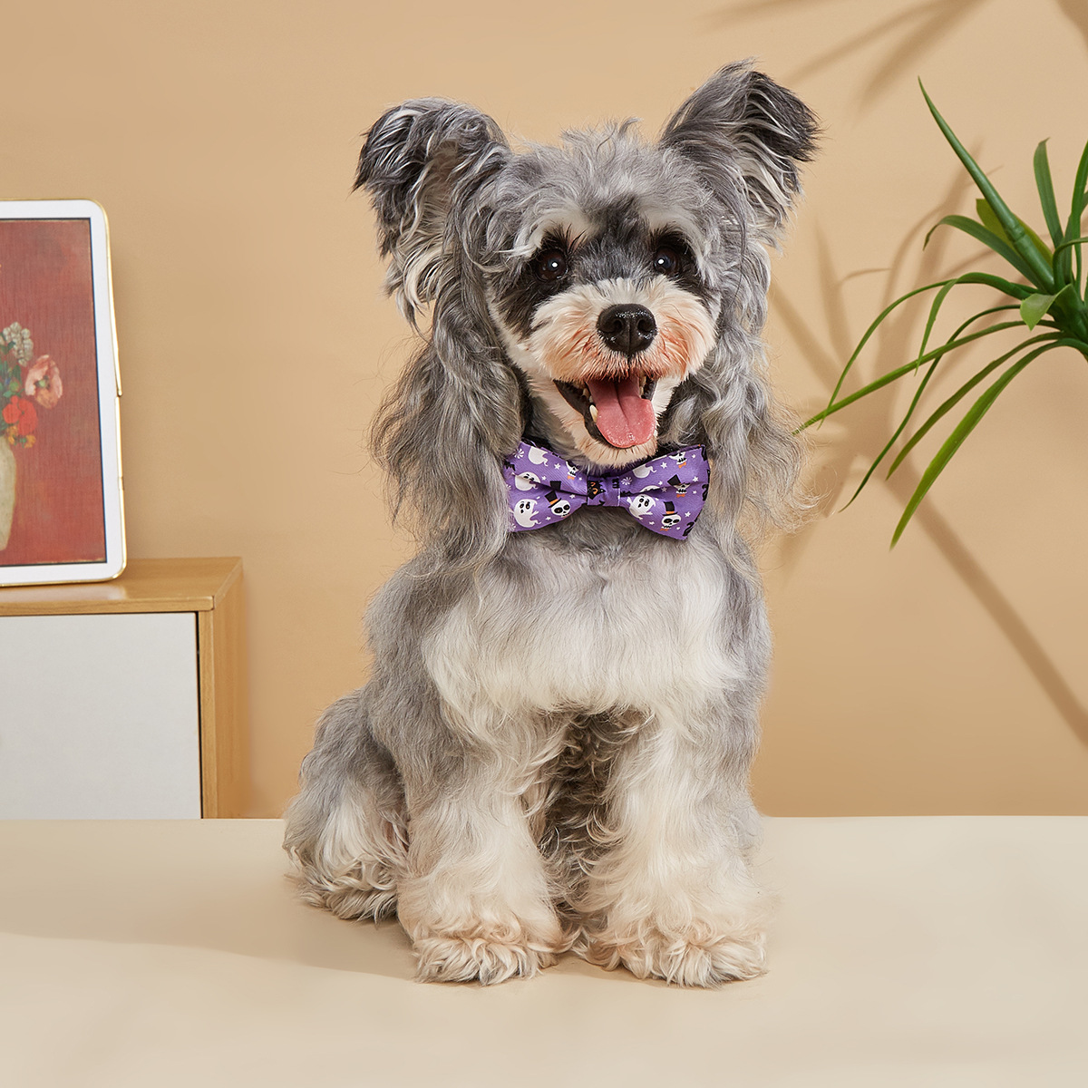 TANPOPPO Halloween Ghost Print Pajarita para mascotas Medio y pequeño Perro Bowknot Schnauzer Bear ajustable