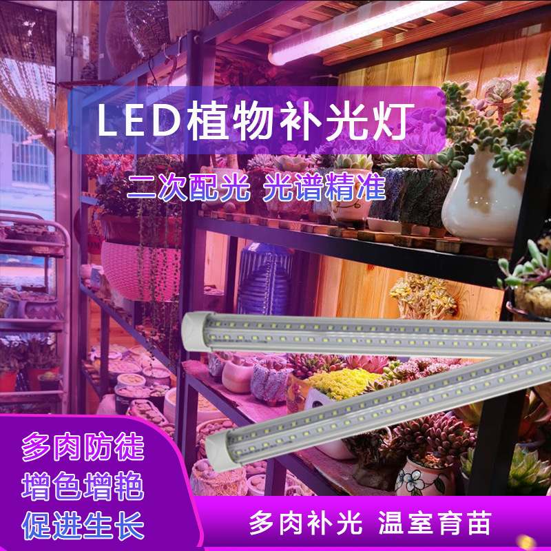全光譜多肉綠植 植物生長燈 室內草莓火龍果大棚 LED植物補光燈