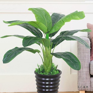 �پGֲ����ֲ���b��҃����ϼٻ�С���Կ͏d�٘�Ž�����ؔ[�O