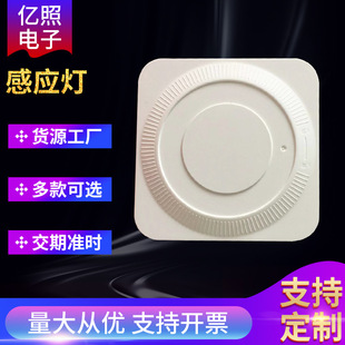 Induction Light Stepless Brightness Adjustment Night Light Led Light Control Night Light Square Plug-In Cabinet Light Customization Manufacturer