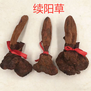 �mꖲ�����خa��ɽ��ș����������i���ʿ�B����ˮ�ݾ����mꖲ�