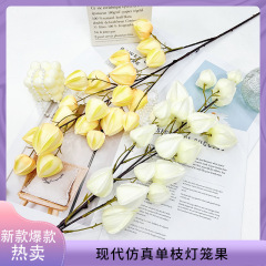 新款仿真植物灯笼果仿真绿植造景婚庆家居装饰布置仿真果子假绿植