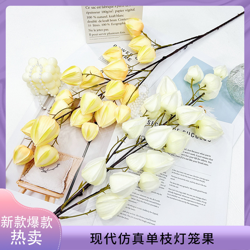 新款仿真植物灯笼果仿真绿植造景婚庆家居装饰布置仿真果子假绿植|undefined