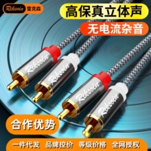 �׿�ɭ2RCA�pɏ���t���^���ž������X�������������B�Ӿ����l
