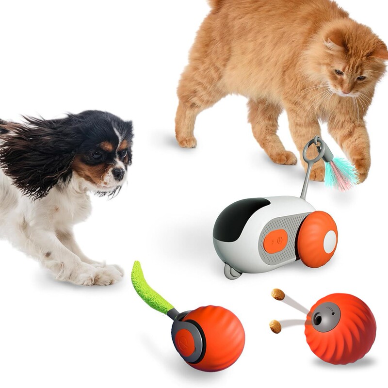 Pet has gravity intelligent running car remote control car electric cat toy self-hi mouse feather funny cat stick cat toy Pet has gravity intelligent running car remote control car electric cat toy self-hi mouse feather funny cat stick cat toy