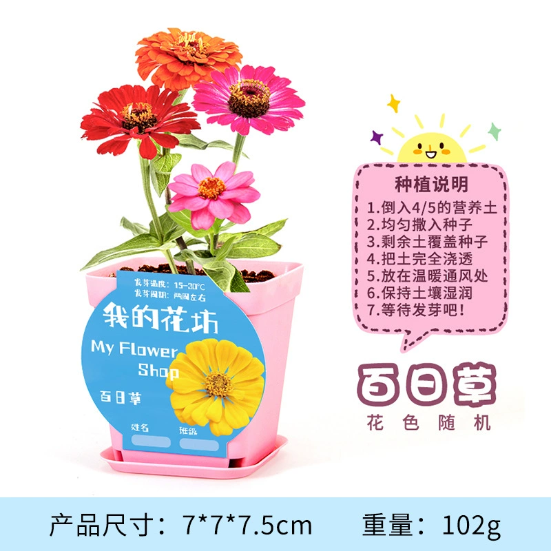 Materials set for experiments for kindergarten, DIY, science, generating electricity, mini experiment, Birthday gift