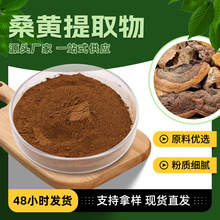 好货推荐棕色粉末食品原料桑黄多糖 富含三萜类化合物桑黄提取物