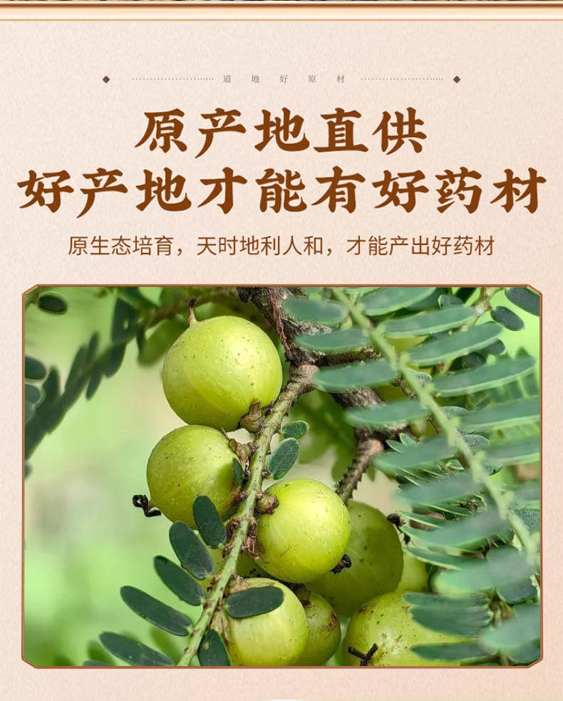 Dried Amla Fruit Yu Gan Zi 余甘子 Phyllanthus emblica Whole Dried Herb for Tea and Decoction 500g key features