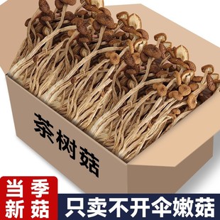 ��乽��؛500g�����r���خa��؛�������l��乽���������_��20g