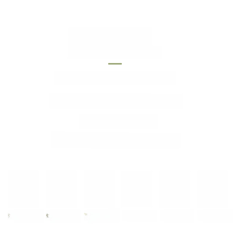 Ballet Skirt Women's Adult One-piece Lace-up Hip Chiffon Skirt Professional Training Clothes Matching Half-length Vallen Skirt