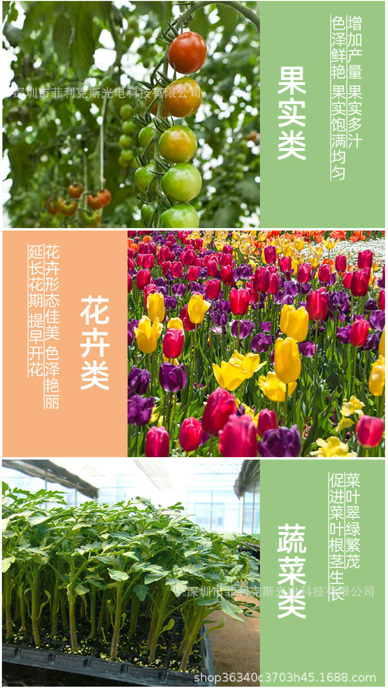 5050(3红1蓝)植物灯详细页_17.jpg