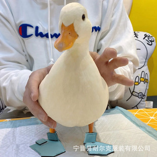 �羳���R�d�����ZЬ ������� ����_����ѥ���oЬ ��Ʒ