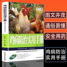 鸡病防治实用手册科学饲养鸡技术鉴别诊断图谱常见症状的诊断