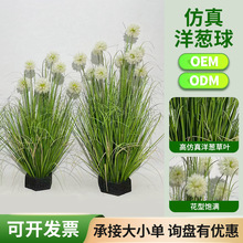 �����JȔ���[�����[����ֲ���辰���b�ꙻ������bGֲ�����쾰