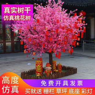 ������һ�����ͼ٘��҃����b��ƙѻ����̈��Ƶ��c�[�O�쾰