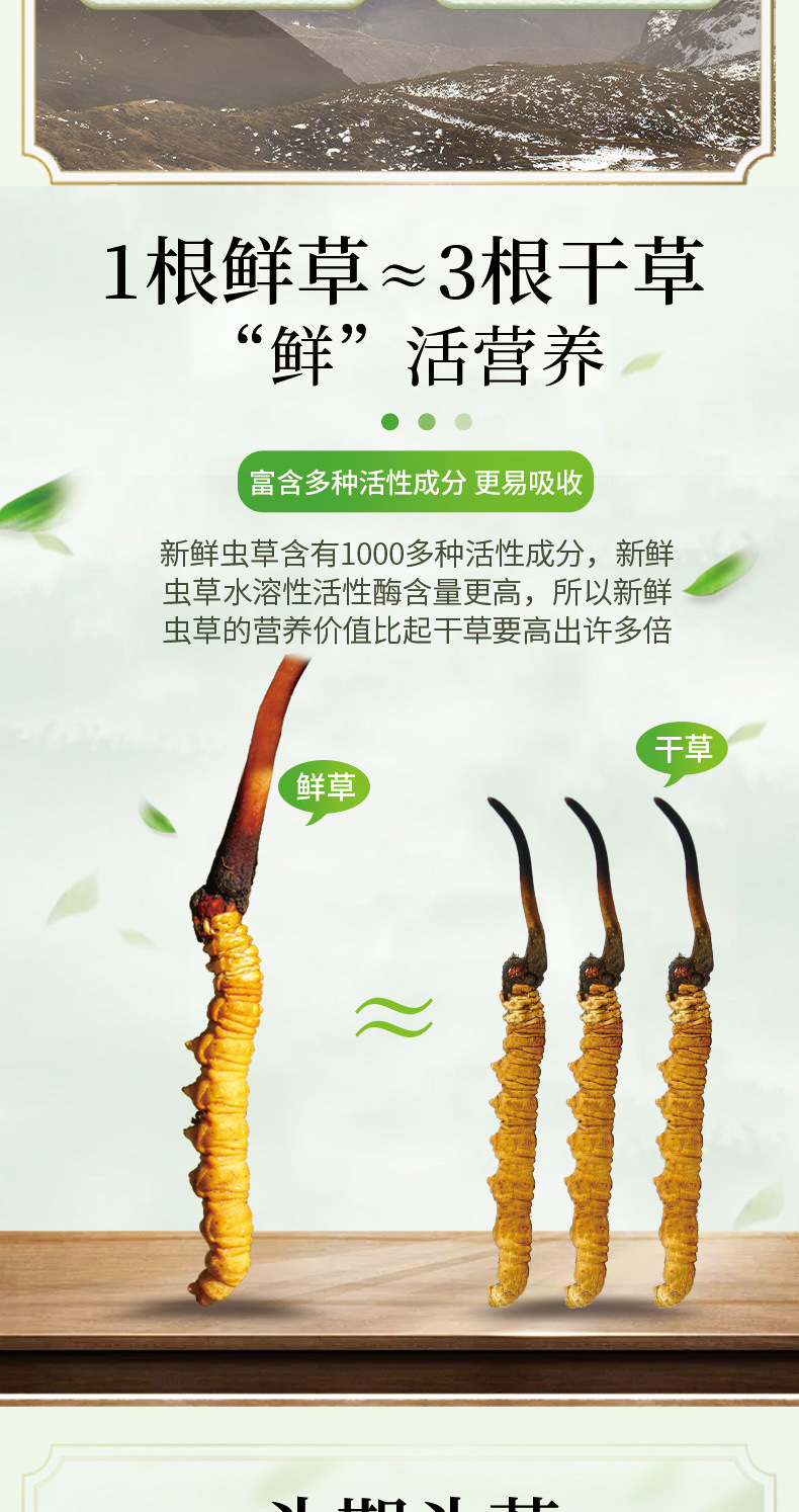 新鲜虫草_03.jpg