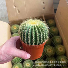 ��������������҃ȷ�ݗ��������������w����ֲ���_��Ʒ�N������