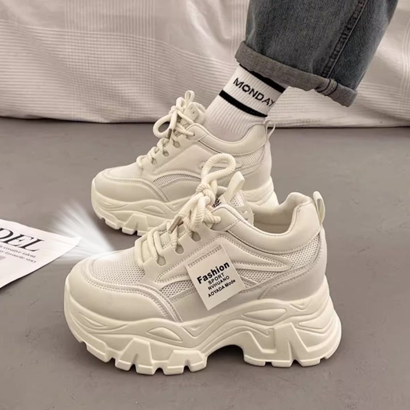 메쉬/베이지 오늘만 특가