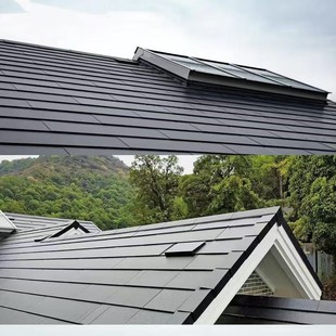 �X�V�i������ �M���A�ݰ�  �S�����a�e�����挣���X�Ͻ���