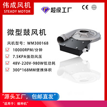 ����WM300168-48V���980W���ֻ�7.5kpa��ˢֱ���������9500LPM