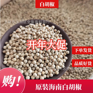 ���ϰ׺������ϰ׺����w�� �ں��� ������ �� ���N���{������