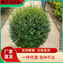 һ�����lͥԺ�G�����~Ůؑ�������Ůؑ���Θ��ļ������ͺ�С�~