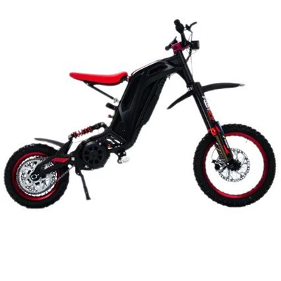 48V25Ah Track Vehicle, Elektrikli motosikletlər