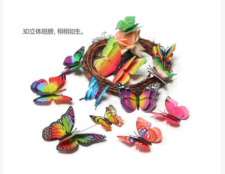 12只彩虹套装蝴蝶详情09 (3)