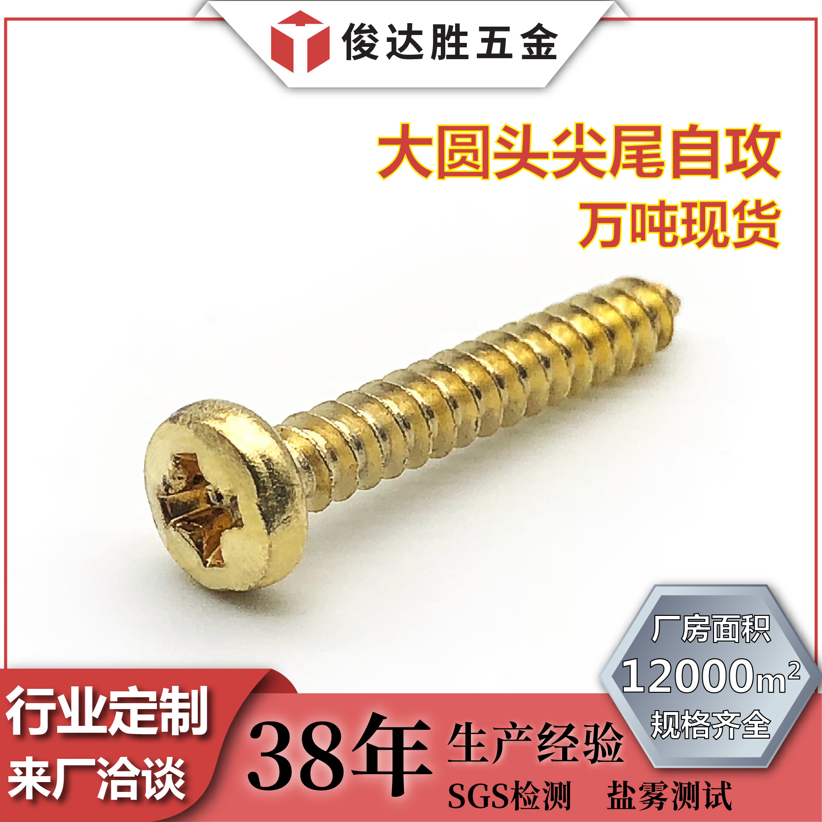 长期供应十字大圆头尖尾自攻螺丝