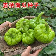 �����ϷN�����С�ϹϷN���S�a�׷N�����＾���ٹ��ļ��߲˷N��