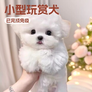 ���l�F�eȮ���N�㙉ɫС��̩��Ȯ��Ȯ���w������Ȯ�������pȮ�豭