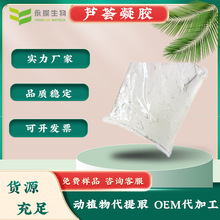 支持检测 芦荟凝胶99%Aloe gel库拉索芦荟叶肉汁提纯物化妆品原料