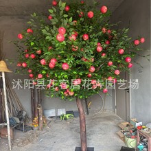 ��Ʒ�����O������O��������������ӿ͏d��c�Ƶ�[�O����ˮ����