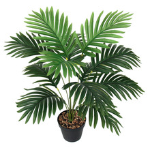 �羳����Gֲ��ɢβ���ؙ��~�҃Ȼ����b���ͥԺ�����쾰��ֲ��