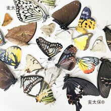 ���Z���Ї������˱�������P�����{��͐���G�����P