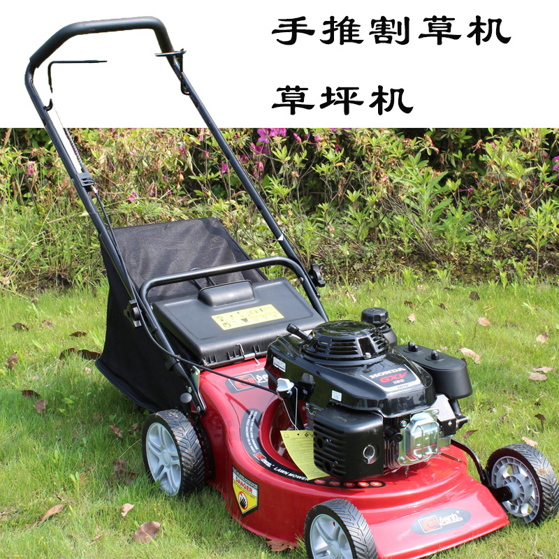 现货汽油草坪机 小区绿化草坪修剪机 四冲程手推自走剪草割草机