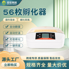 HHD全自动迷你孵化器56枚家禽鸟蛋小鸡养殖孵化机鹌鹑孵蛋器