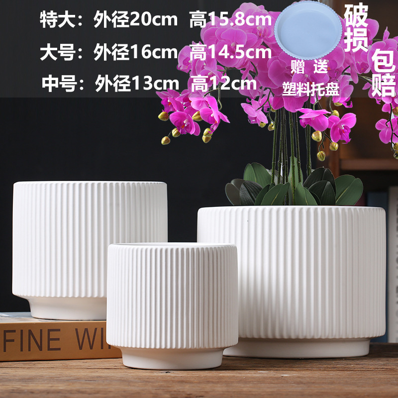 直販の陶器製植木鉢、胡蝶蘭専用鉢、家庭用リビングルーム、一件代発送|undefined