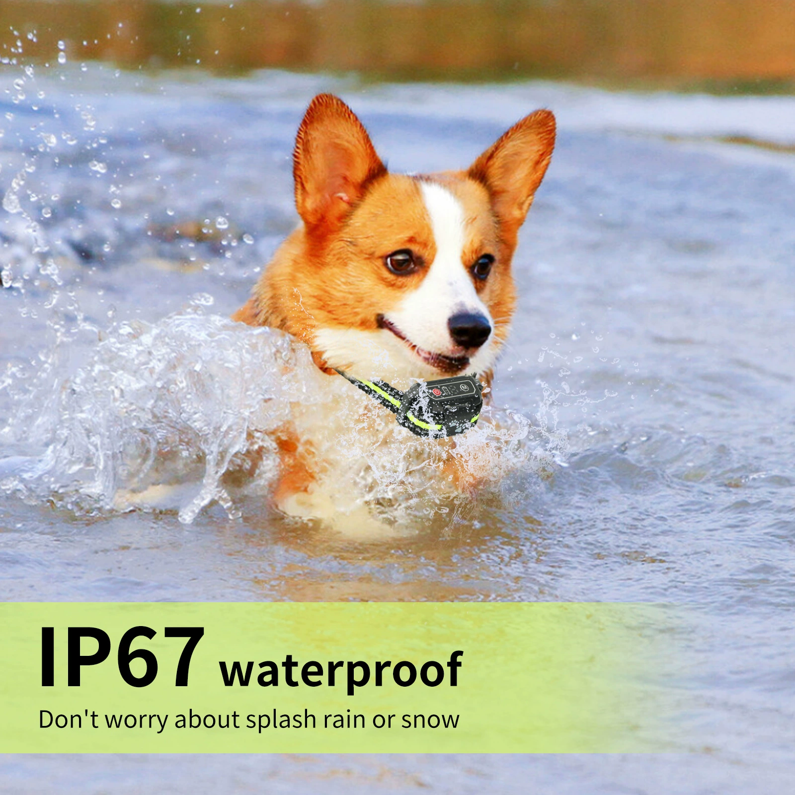 Amazon новый собачий антилай для собак Товары для обучения собак Электронный вибрационный антилай ошейник для собак