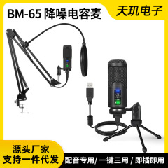 プロの吹き替えコンデンサーマイク高精細ノイズ低減有声書録音設備携帯電話専用小説口播マイク