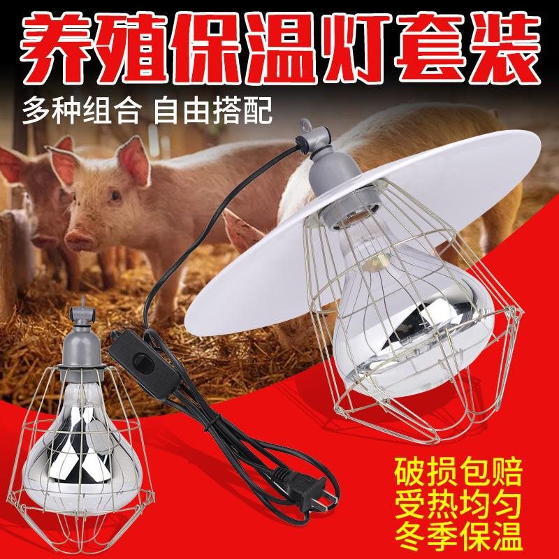 养殖场保温灯仔猪小鸡育雏加热取暖灯全套防爆调温灯灯罩套装