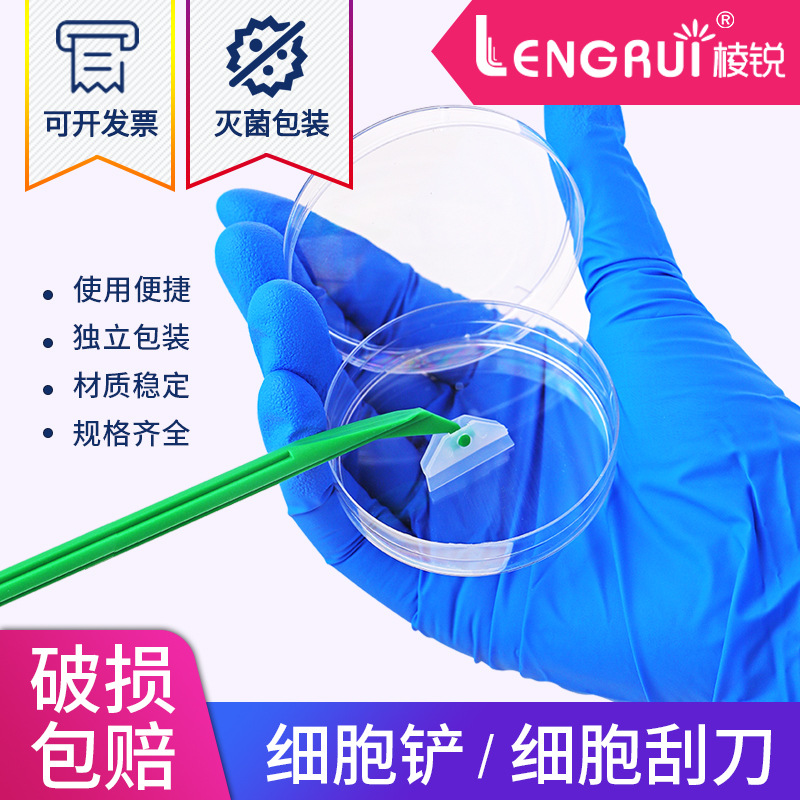 实验用刮刀-实验用刮刀批发、促销价格、产地货源 - 阿里巴巴
