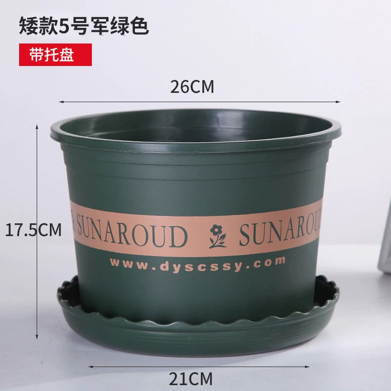 Новый зеленый горшок галлона