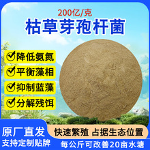 ѿ�ߗU���ݲ�ѿ�ߗU��ˮ�a�Bֳ200-1000�| �ͺ�ѿ�ߗU���͜�ѿ��