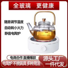 全玻璃养生壶小电陶炉小型煮茶器玻璃壶烧水泡茶炉茶炉静音迷你煮