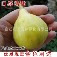 �o����������Rһ̖�o������������ͥԺ���������ϱ����Nֲ������