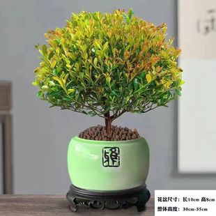 С�~����Ϙ������辰����Gֲ�҃Ȼ����k��������С�Gֲ���Bֲ��