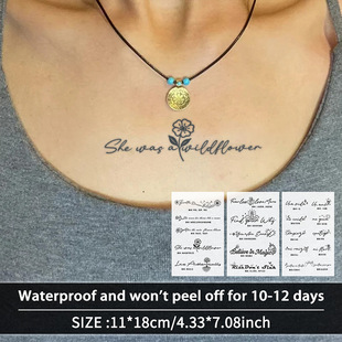 TEMU����Ӣ��ˇ�g�ֲݱ��y���N��ˮ�־ýM�ϻ������ք���r���ֱ�