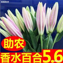 鲜花花束直批云南昆明香水百合花速递同城家用水养基地直发七夕节